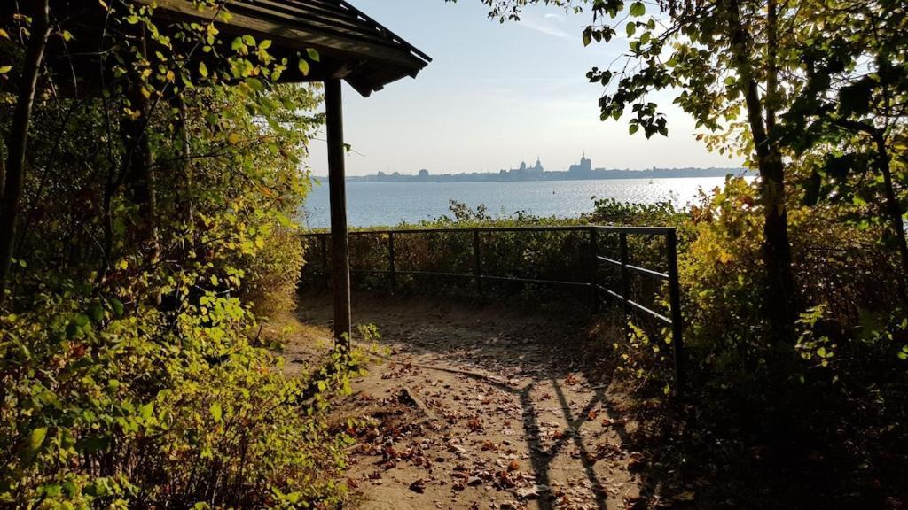 Ferienwohnung Seeblick Altefähr المظهر الخارجي الصورة