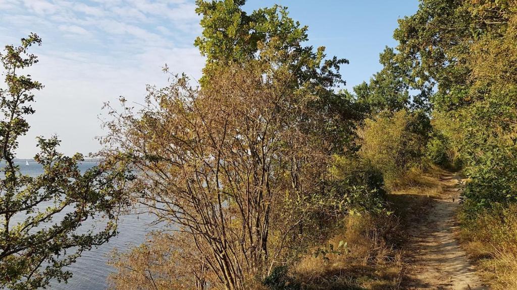Ferienwohnung Seeblick Altefähr المظهر الخارجي الصورة